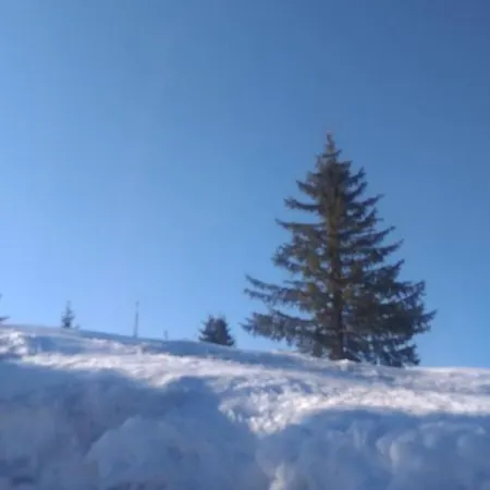 Apartman Milly Kopaonik Exterior photo